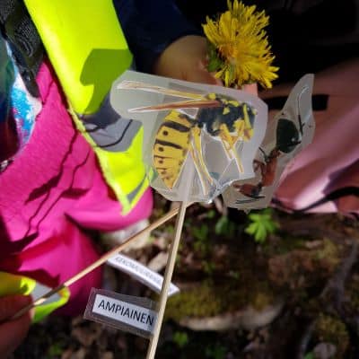 Ympäristökasvattajan materiaalia