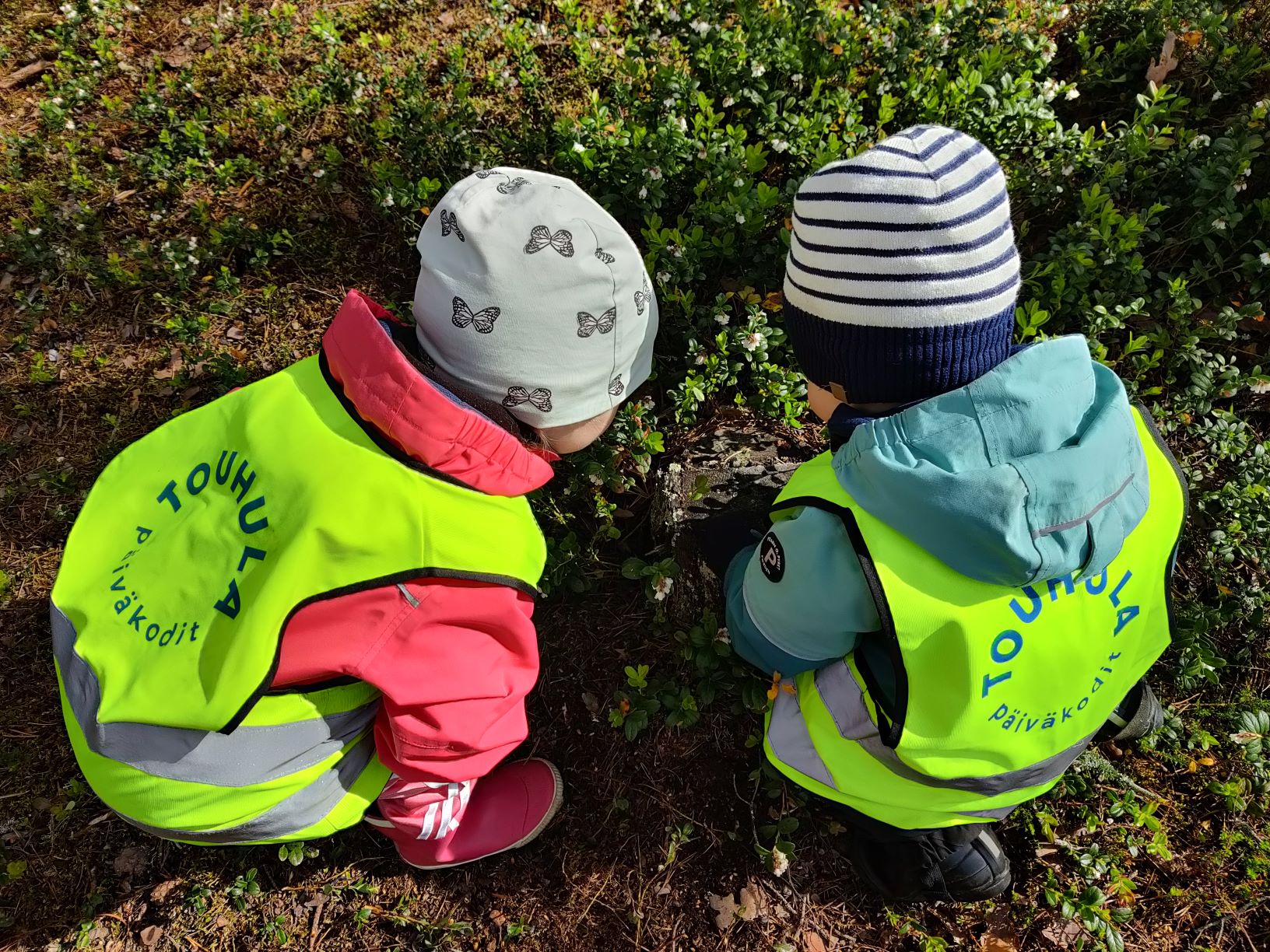 Lapset tutkivat luontoa metsässä