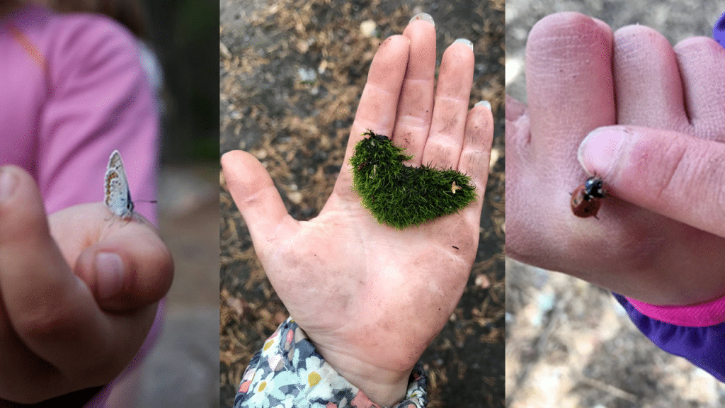 perhonen, sammalsydän, leppäkerttu lasten käsissä