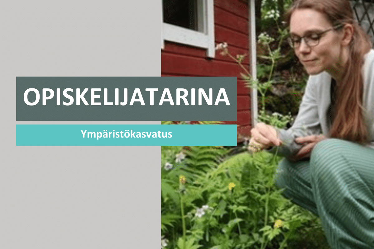 ”Opinnot auttavat parantamaan työn vaikuttavuutta”