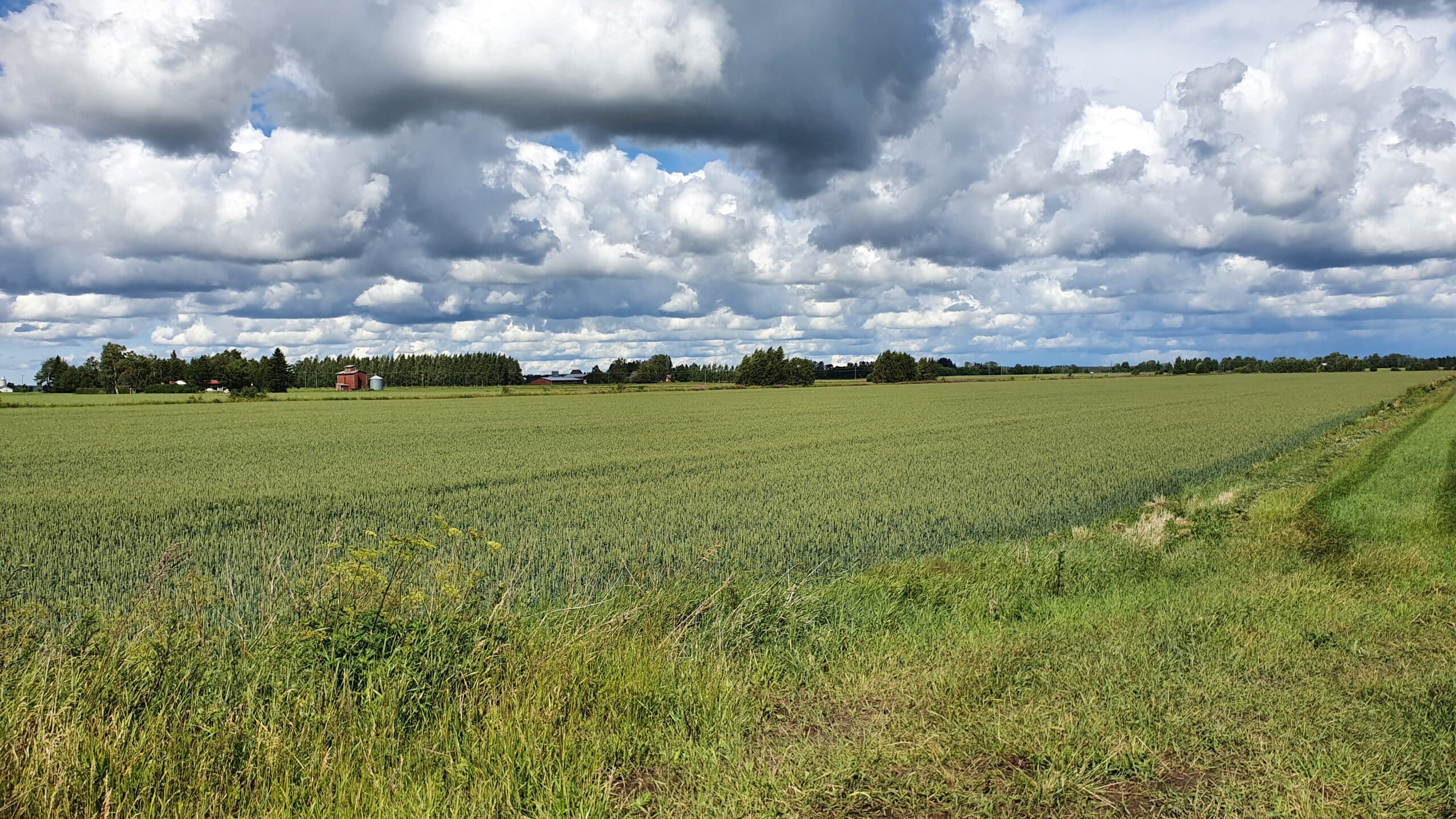 Mitä on oikeudenmukaisuus vihreässä siirtymässä? - Suomen ...