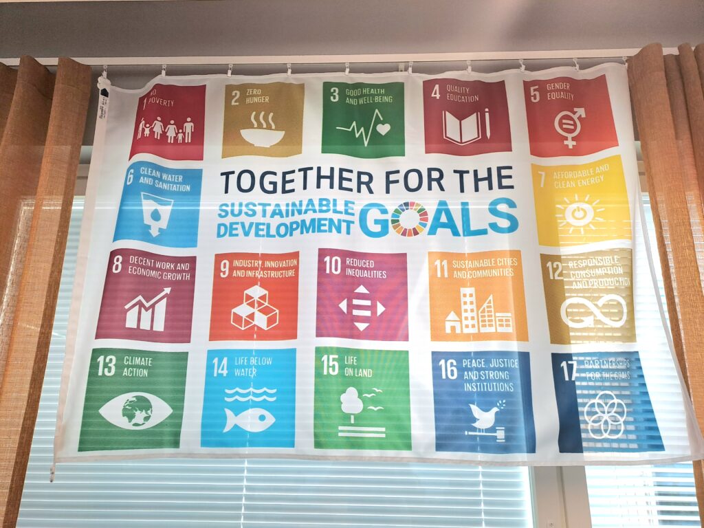 SDG flag day