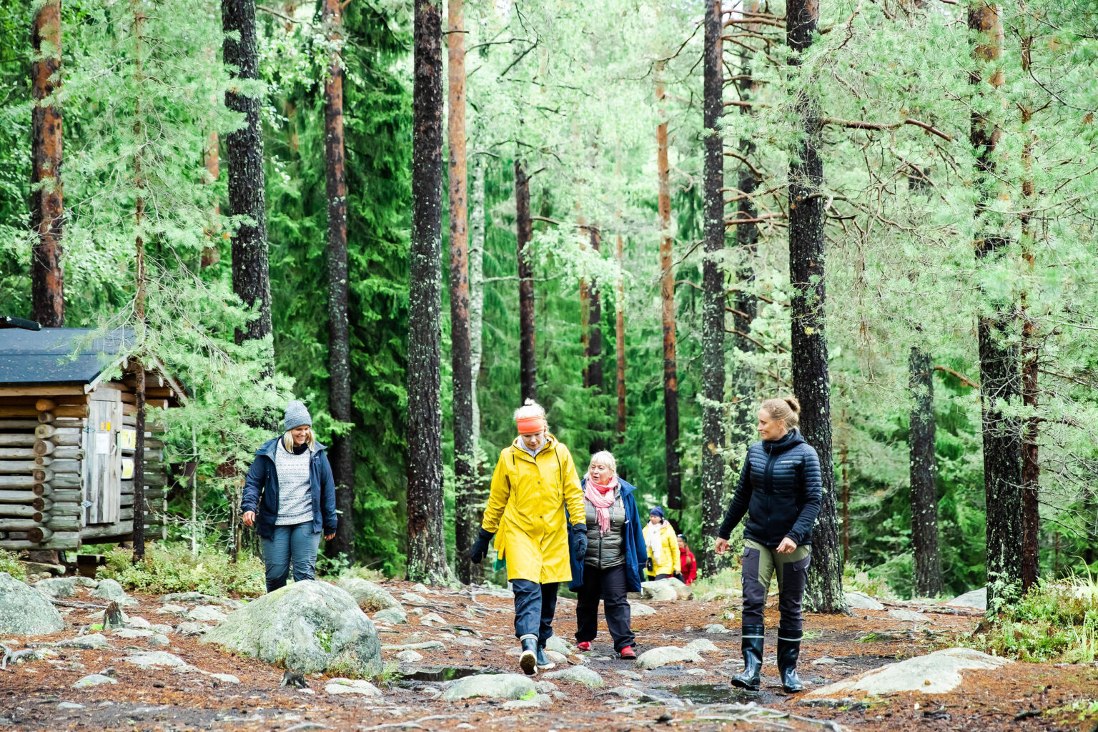 Sykli-200 - Suomen ympäristöopisto SYKLI