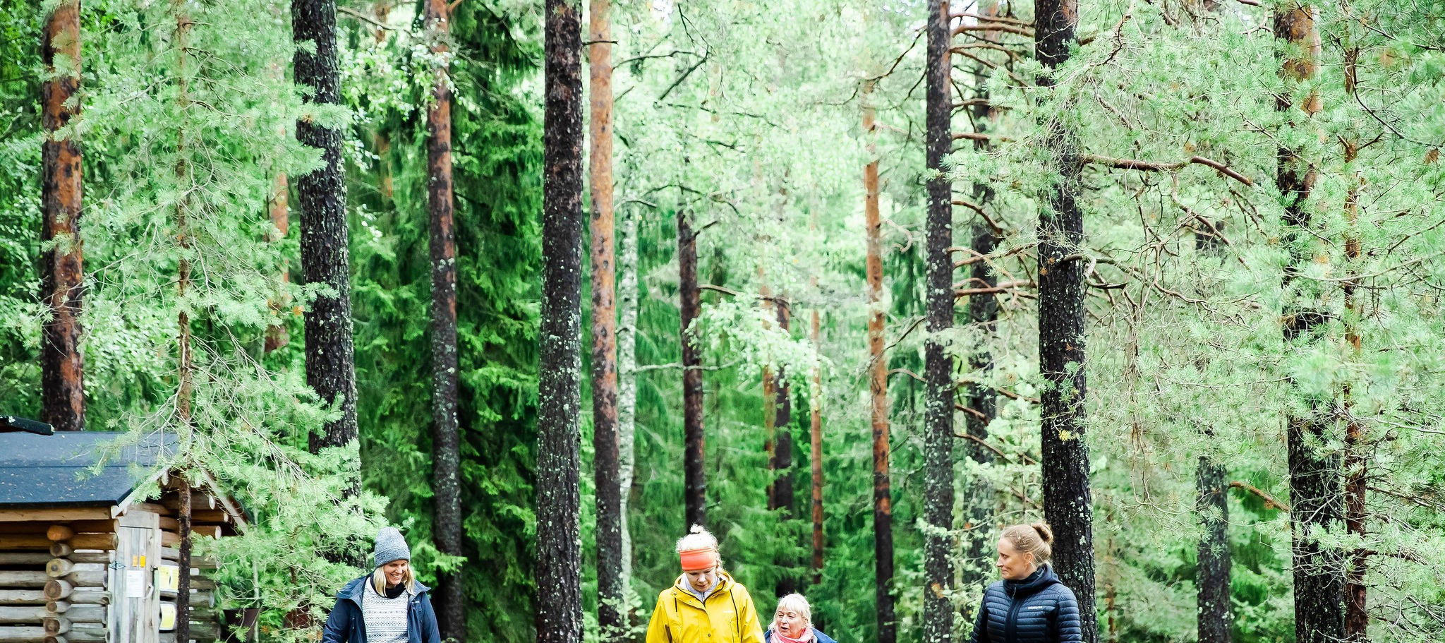 Kuinka kaikki alkoi eli kuinka tehdä kuvaaja vartissa!  Tiedäthän sen tunteen, kun eri yhteyksistä hankittu tieto alkaa muokkaantua päässäsi selkeäksi […]
